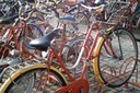 rimini_biciclette.jpg