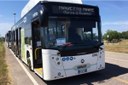 Ravenna, torna da sabato 8 aprile il servizio bus gratuito "Navetto mare"